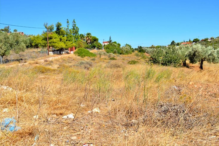 Realty photo 1
