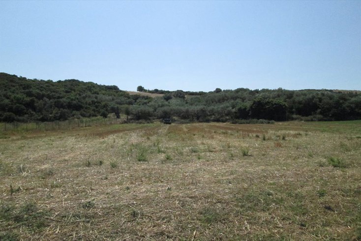 Realty photo 3