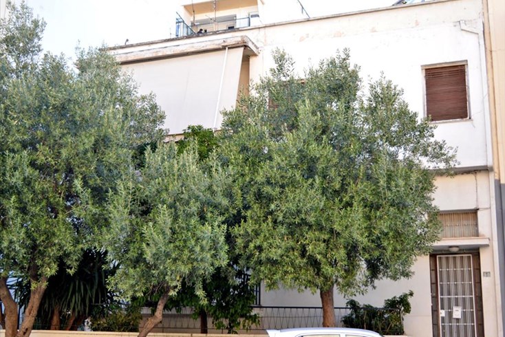 Realty photo 1