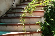 Property 12931 photo 43