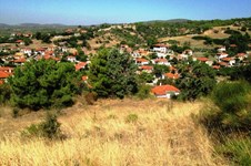 Property 12932 photo 3