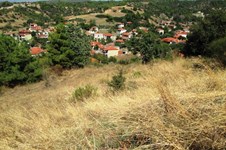 Property 12932 photo 7