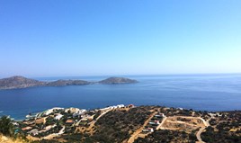 Land 4963 m² in Crete