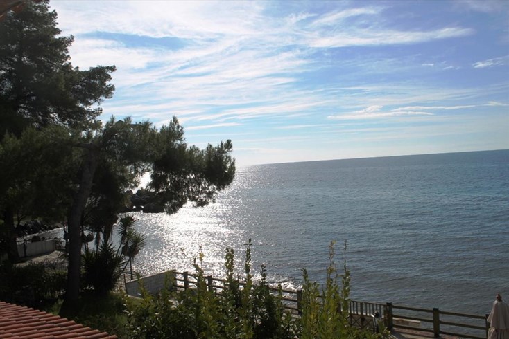 Realty photo 3