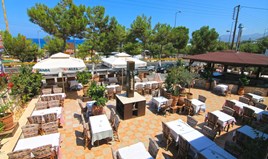 Business 700 m² en Crète