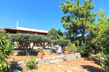 Property 12951 photo 1