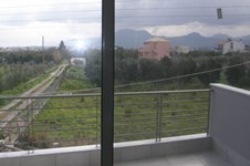 Property 1297 photo 2