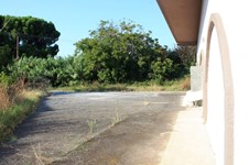 Property 12976 photo 9