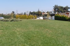 Property 1298 photo 9