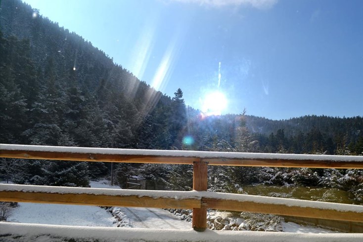 Realty photo 1