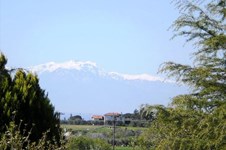 Property 13029 photo 40