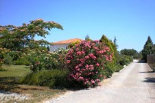 Property 13029 photo 43