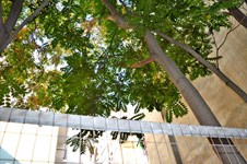 Property 13043 photo 3