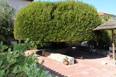 Property 13079 photo 8