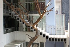 Property 1311 photo 4