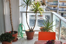 Property 1311 photo 12