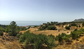 Land 9000 m² auf Kreta