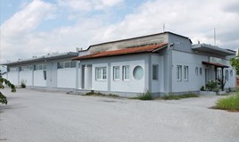 ვილა 720 m² ოლიმპიურ რივიერაზე