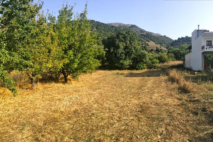 Realty photo 1
