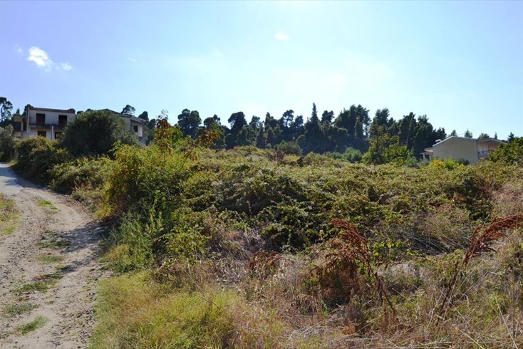 Realty photo 2