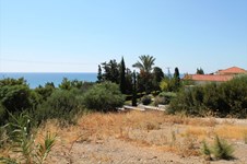 Property 13179 photo 2