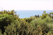 Property 13179 photo 4