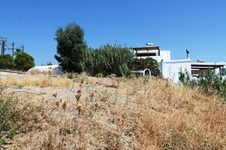 Property 13179 photo 11