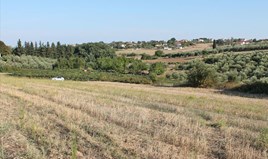Land 3140 m² an der Olympischen-Riviera