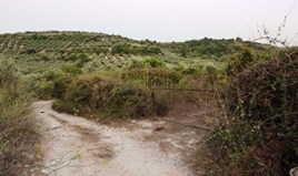 Land 14500 m² auf Kreta