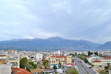 Property 13235 photo 2