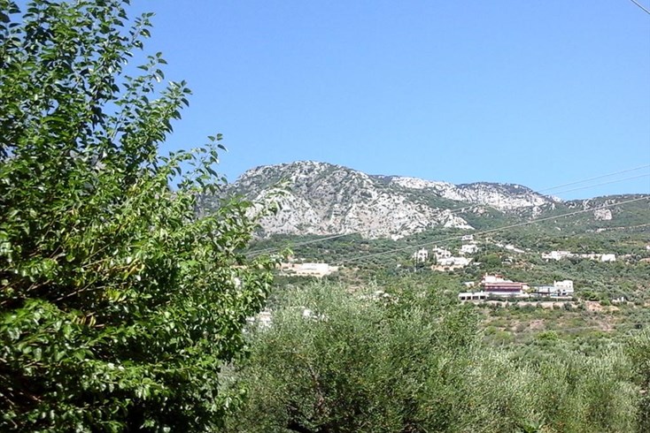 Realty photo 1