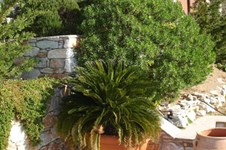 Property 1327 photo 8