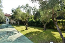 Property 13273 photo 4