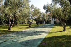 Property 13273 photo 5