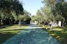 Property 13273 photo 8