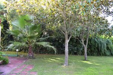 Property 13273 photo 10