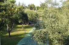 Property 13273 photo 36