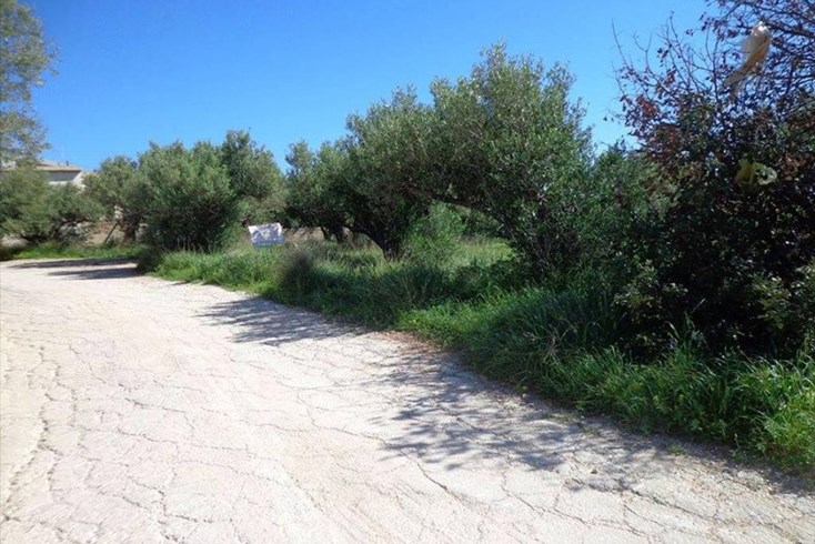 Realty photo 2