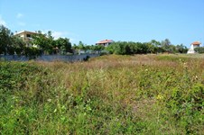 Property 13277 photo 3