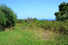 Property 13277 photo 2