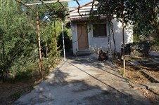 Property 13289 photo 1