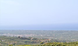 Land 12000 m² auf West Peloponese