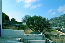 Property 13320 photo 12