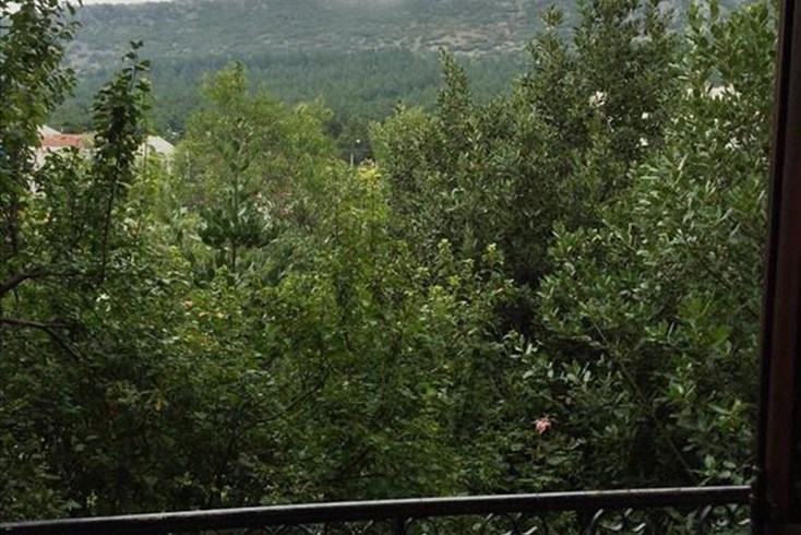 Realty photo 2