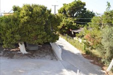 Property 13331 photo 4