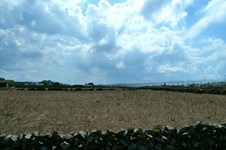 Property 13353 photo 3