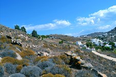 Property 13357 photo 6