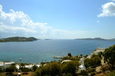 Property 13357 photo 3