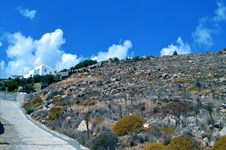 Property 13357 photo 8