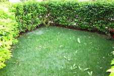 Property 13382 photo 4